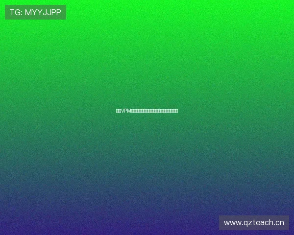 雷霆VPM官网入口最新登录方式与安全使用指南解析